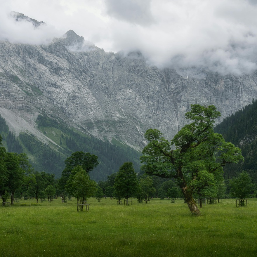Untitled image